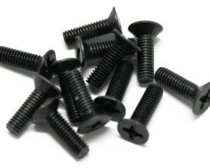 Flat Cross Screw(ISO3*10)  12PCS