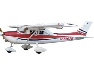 TWM Skylink 100cc ARF